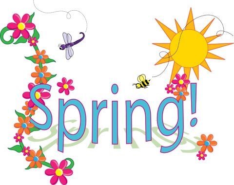 Flowers, sunshine, bumble bee, dragonfly. Signs of Spring