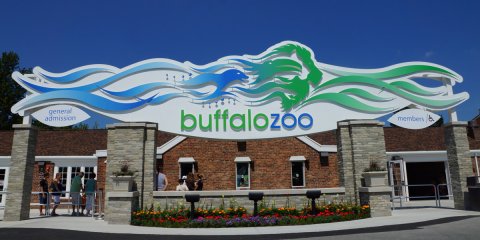 Buffalo Zoo sign 