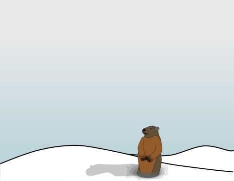 groundhog emerging from the snow