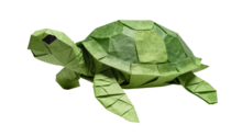 Turtle made out of paper
